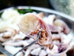 -铭聚章鱼土笋冻(松柏店)