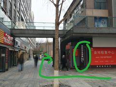 -青蛙游泳培训基地(朝阳校区)