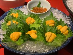 海胆刺身-初花·日本料理