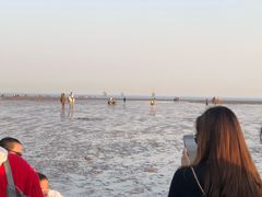 -上海棕榈滩海景酒店