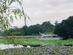 -白鹭湾湿地公园