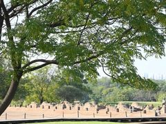 -盘龙城国家考古遗址公园