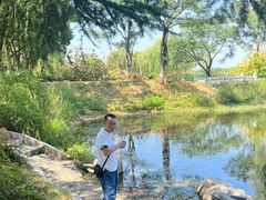 -金银湖国家城市湿地公园