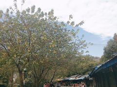 -灵岩山风景区
