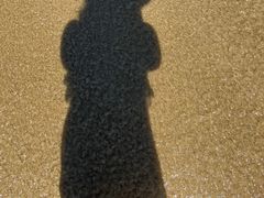 -亚龙湾海底世界