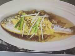 -新光酒家·河豚·海鲜·蟹料理(浦东店)