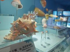 -温州博物馆