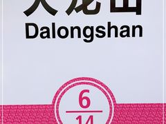 -大龙山(地铁站)