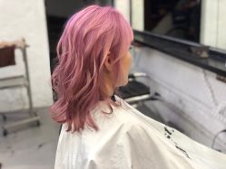 -SALON V