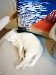 -尚美日式美甲美睫工作室