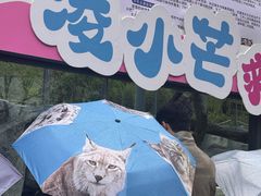 -青藏高原野生动物园
