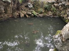 景点-灵岩山风景区
