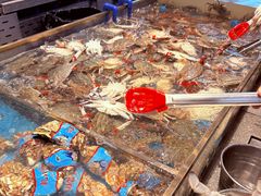 -半岛听涛蒸汽海鲜自助(K11店)