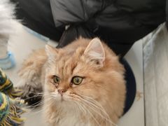 -平行世界·猫咖(首经贸店)