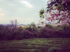 -敬亭山风景名胜区