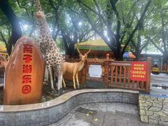 -晓港公园