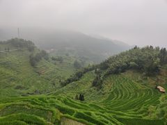 景点-紫鹊界梯田景区