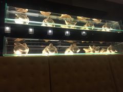 -哈尔滨索菲特大酒店-意日本料理铁板烧