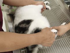 -北京恒爱动物医院(清景园分院)