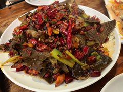 -福苗小骆驼烧烤(莲湖路店)