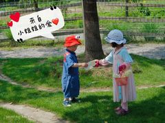 -前小桔亲子创意农场·草莓采摘·露营烧烤