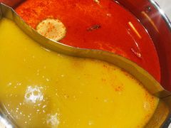 花胶鸡汤锅-领鲜天下·焗海鲜·花胶鸡(天目里店)