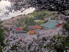 -泰山风景名胜区
