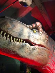 -恐龙探索乐园(磁器口店)