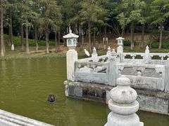 -珠海圆明新园