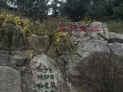 -西安曲江寒窑遗址公园