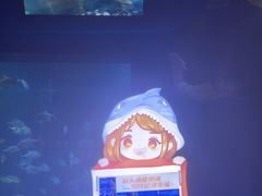 -烟台海昌鲸鲨海洋公园