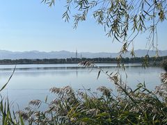 -野鸭湖国家湿地公园