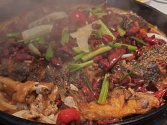 -老板恋上鱼(印象城店)