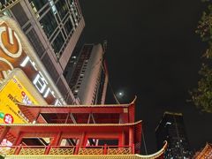 -越秀西湖花市(广州城市广场花卉店)