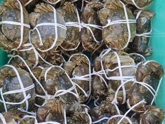 -蟹天蟹地农家菜·阳澄湖大闸蟹(浅水湾店)