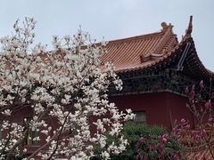 -皇罗禅寺