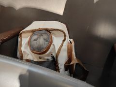 -艾贝尔宠物医院 ·中兽医·宠保定点(北门桥店)