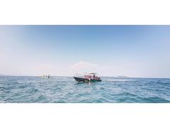 景点-杨梅坑