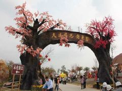 -天适樱花悠乐园