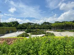 -深圳国际园林花卉博览园