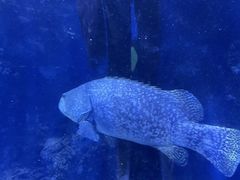 -台州海洋世界