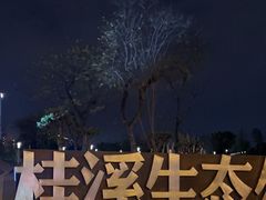 -桂溪生态公园