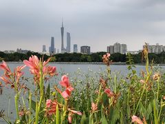 -海珠湖公园