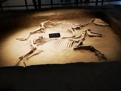 -洛阳周王城天子驾六博物馆