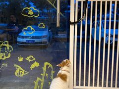 -平行世界·猫咖(首经贸店)
