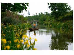 -白鹭湾湿地公园