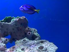 -海合安武汉极地海洋公园