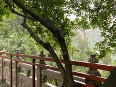 -鼎湖山风景区