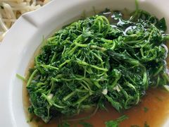 时令野菜-梦缘水乡·湖景餐厅