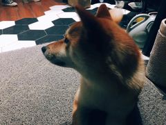 -About Bistro關於·泰式家庭料理